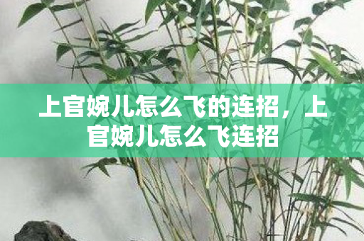 上官婉儿怎么飞的连招图片