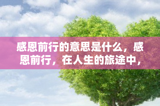 感恩前行的意思是什么图片