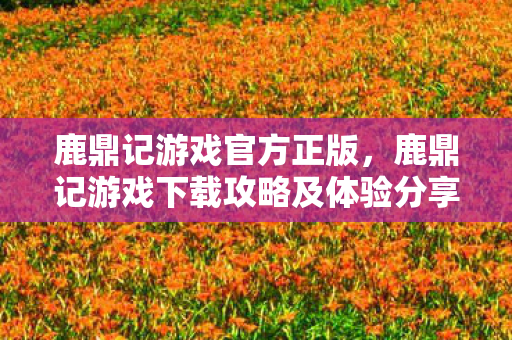 鹿鼎记游戏官方正版，鹿鼎记游戏下载攻略及体验分享