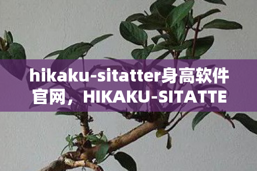 sitatter身高软件官网图片