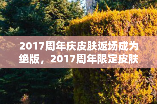 2017周年庆皮肤返场成为绝版图片