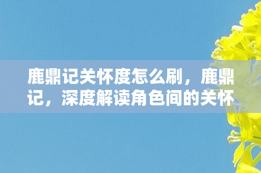 鹿鼎记关怀度怎么刷，鹿鼎记，深度解读角色间的关怀情感