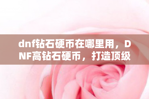 dnf钻石硬币在哪里用图片