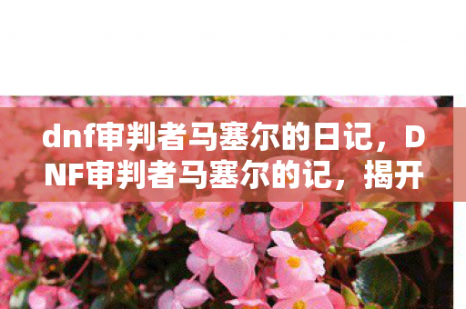 dnf审判者马塞尔的日记图片