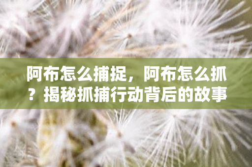 揭秘抓捕行动背后的故事图片