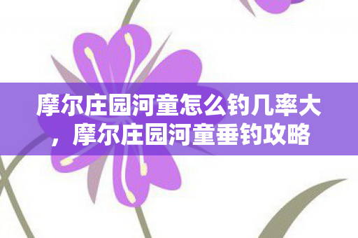 摩尔庄园河童怎么钓几率大图片