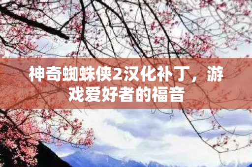 神奇蜘蛛侠2汉化补丁，游戏爱好者的福音