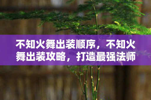 打造最强法师的必备装备图片