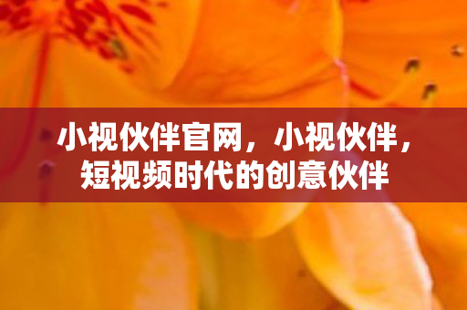 短视频时代的创意伙伴图片