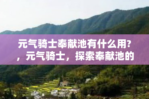 元气骑士奉献池有什么用图片