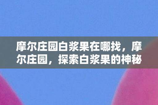 摩尔庄园白浆果在哪找图片