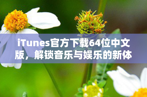 iTunes官方下载64位中文版图片