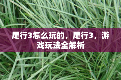 尾行3怎么玩的图片