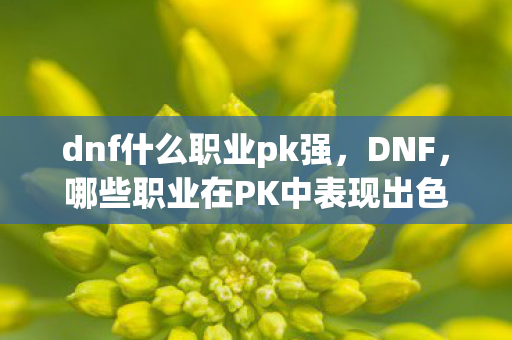 dnf什么职业pk强，DNF，哪些职业在PK中表现出色？