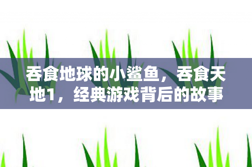 吞食地球的小鲨鱼，吞食天地1，经典游戏背后的故事与影响