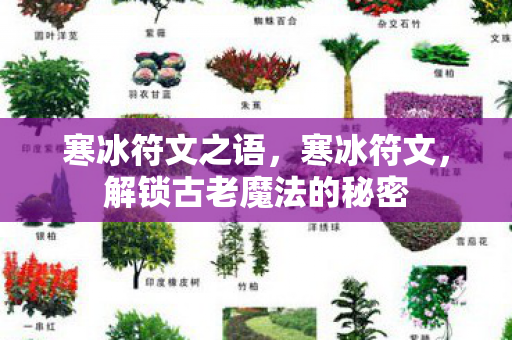 寒冰符文之语，寒冰符文，解锁古老魔法的秘密