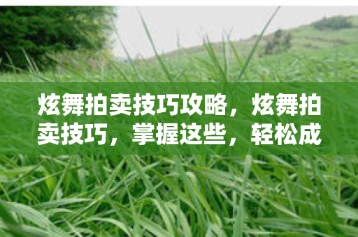 炫舞拍卖技巧攻略，炫舞拍卖技巧，掌握这些，轻松成为拍卖达人
