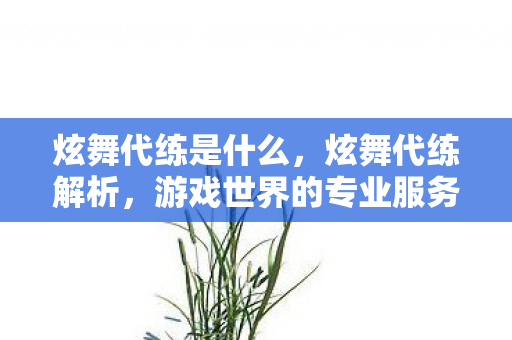 炫舞代练是什么，炫舞代练解析，游戏世界的专业服务