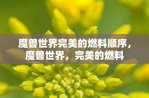 魔兽世界完美的燃料顺序图片