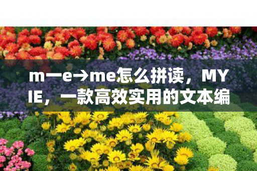 一款高效实用的文本编辑器图片