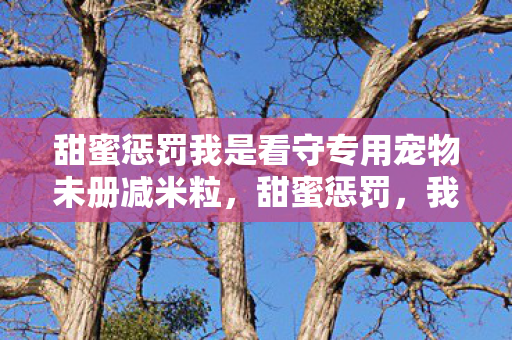 甜蜜惩罚我是看守专用宠物未册减米粒图片