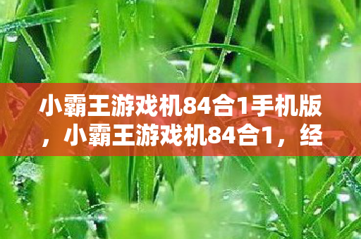 小霸王游戏机84合1手机版图片