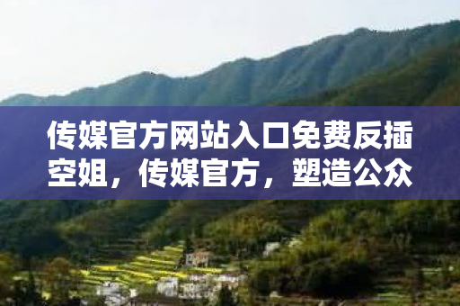 传媒官方网站入口免费反插空姐图片