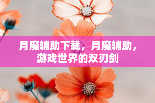 游戏世界的双刃剑图片