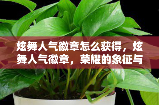 炫舞人气徽章怎么获得，炫舞人气徽章，荣耀的象征与玩家的骄傲