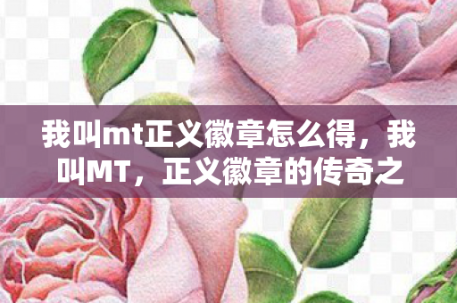 我叫mt正义徽章怎么得图片