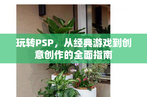 从经典游戏到创意创作的全面指南图片