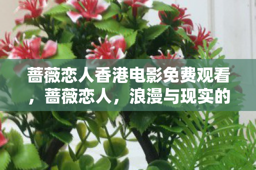 蔷薇恋人香港电影免费观看图片