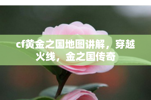 cf黄金之国地图讲解图片