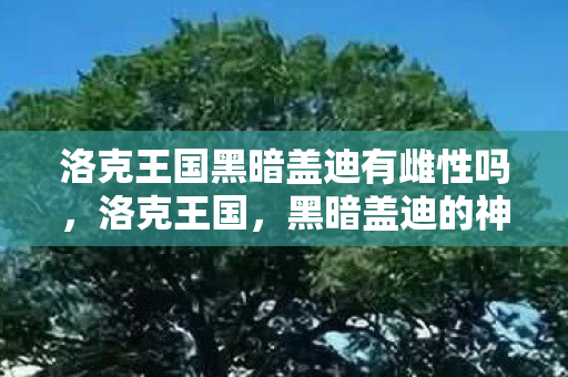 洛克王国黑暗盖迪有雌性吗图片