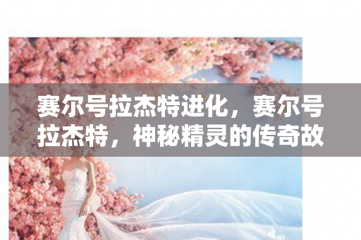 神秘精灵的传奇故事图片