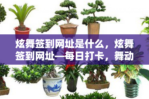 炫舞签到网址是什么，炫舞签到网址—每日打卡，舞动你的游戏激情