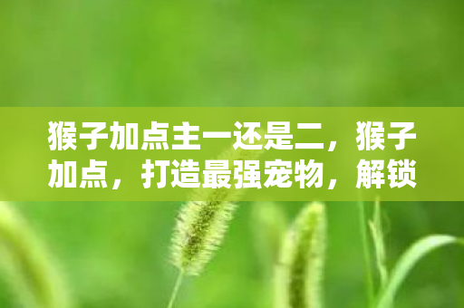 猴子加点主一还是二图片