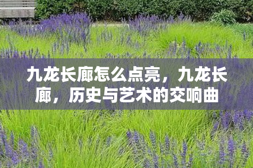 历史与艺术的交响曲图片