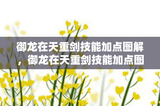 御龙在天重剑技能加点图详解图片
