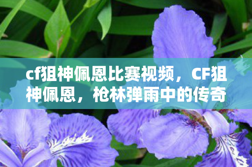 枪林弹雨中的传奇狙击手图片