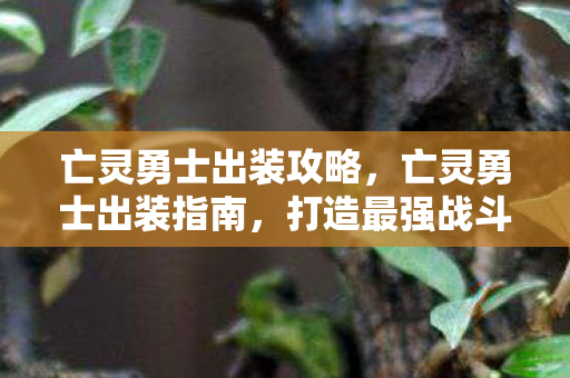 亡灵勇士出装攻略图片