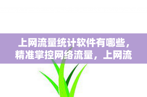 上网流量统计软件有哪些图片