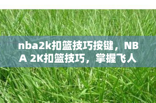 nba2k扣篮技巧按键图片