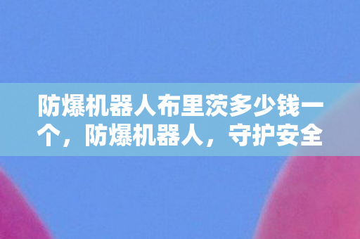 防爆机器人布里茨多少钱一个图片