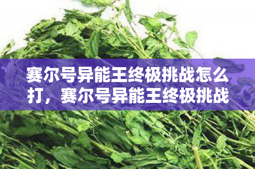 赛尔号异能王终极挑战怎么打图片