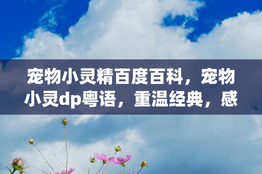 宠物小灵精百度百科图片