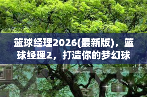 篮球经理2026图片