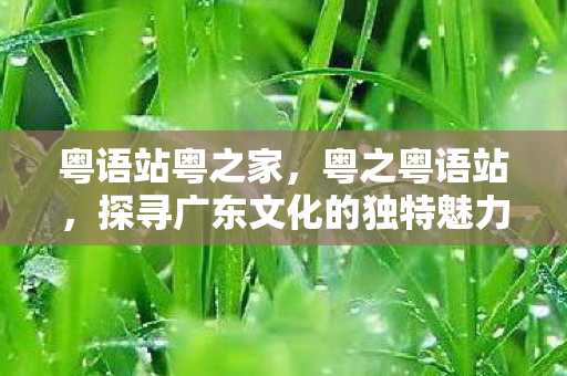探寻广东文化的独特魅力图片