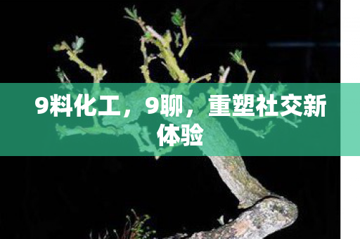 重塑社交新体验图片