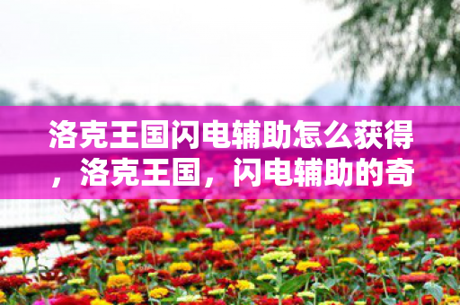 洛克王国闪电辅助怎么获得图片